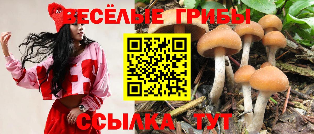 Еманжелинск  Галлюциногенные грибы Cubensis  Галлюциногенные грибы MAGIC MUSHROOMS  Вход с VPN 